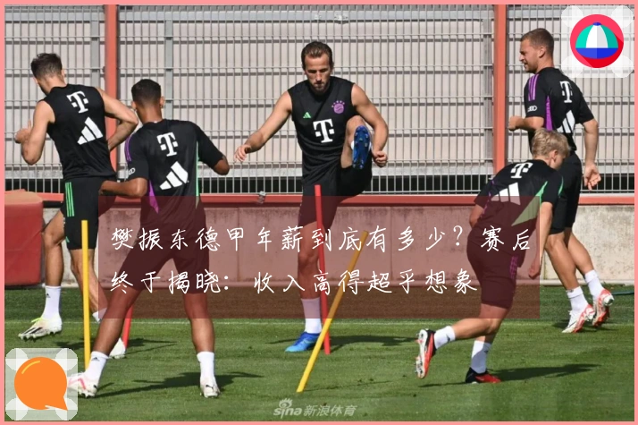 樊振东德甲年薪到底有多少？赛后终于揭晓：收入高得超乎想象
